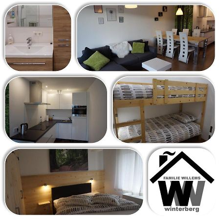 Appartement Familie Willems Winterberg 2 المظهر الخارجي الصورة