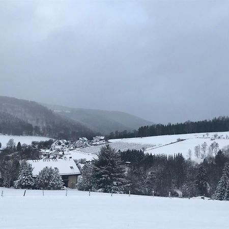 Appartement Familie Willems Winterberg 2 المظهر الخارجي الصورة
