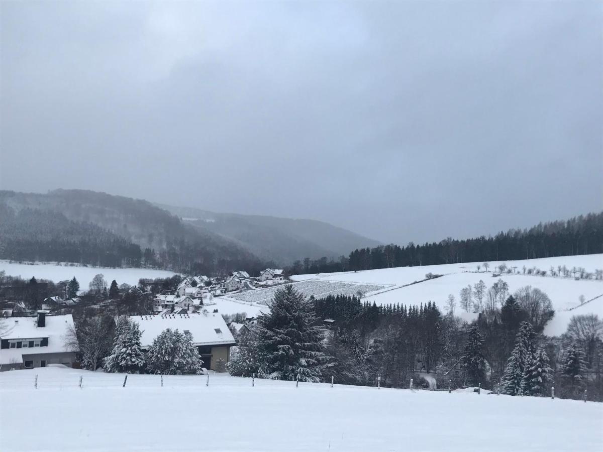 Appartement Familie Willems Winterberg 2 المظهر الخارجي الصورة