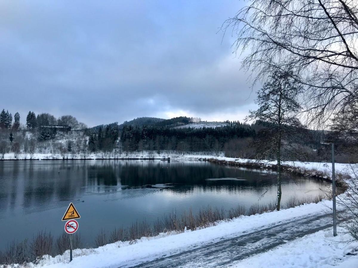 Appartement Familie Willems Winterberg 2 المظهر الخارجي الصورة